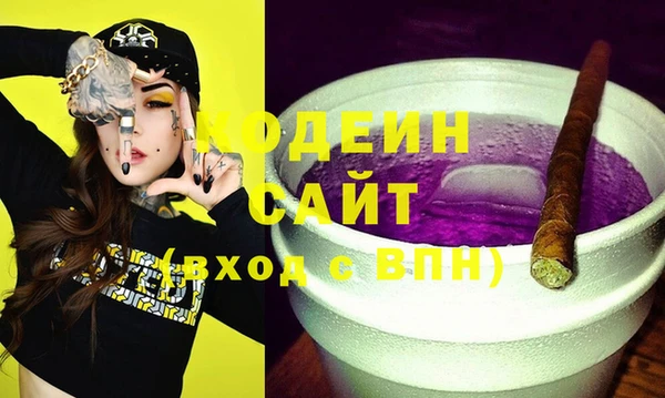 мдпв Заводоуковск