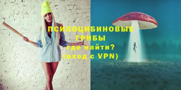 мдпв Заводоуковск