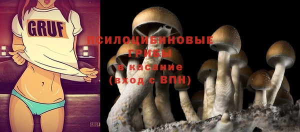 мескалин Заволжье